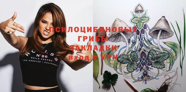 ешки Алзамай