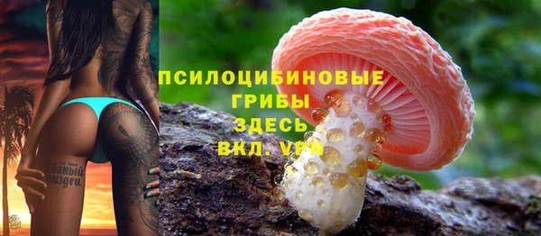 ешки Алзамай