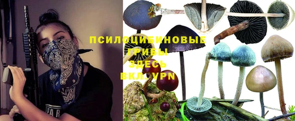 кокаин премиум Алексин