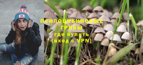 ешки Алзамай
