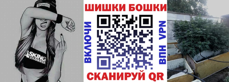 где продают наркотики  Инсар  Каннабис семена 
